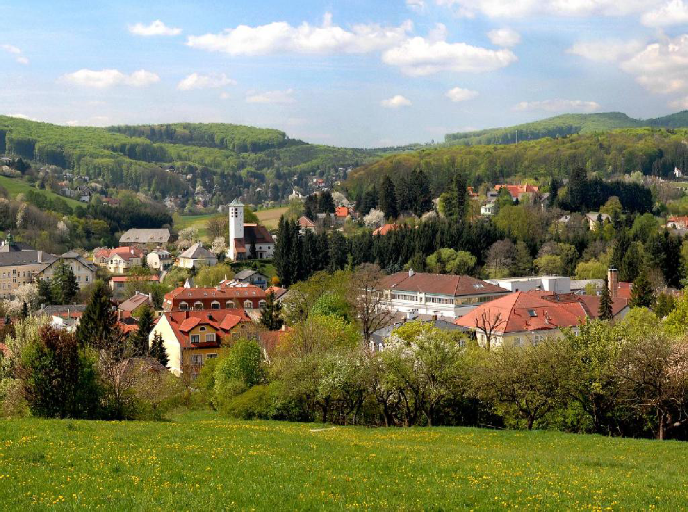 Hotel Rosner