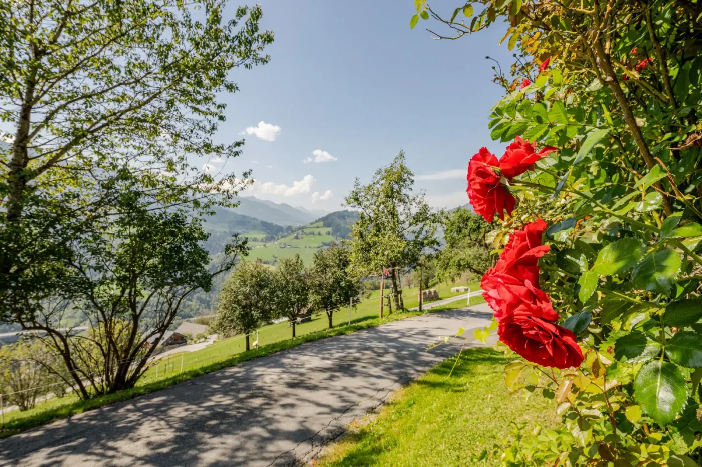 Apartment Bergzeit Biobergbauernhof